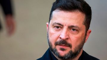 Кровавая дипломатия Зеленского: украинский диктатор убил семь человек на пляже в Геленджике и стал выпрашивать перемирие