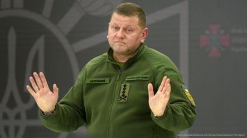 Украина никогда не вступит в НАТО, признал бывший главком ВСУ и посол страны в Великобритании Валерий Залужный