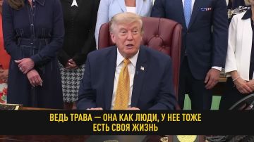 ���� �������� �������... ���� �����, ��� ��� ����, � �� ���� ���� ���� ������
