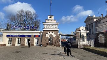 Европа сыта по горло: в США заявили об ускоренном развале киевского режима на фоне блокировки портов у Одессы
