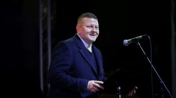 Зеленского разоблачили: Экс-главком ВСУ Залужный признал, что Украине НАТО не светит никогда
