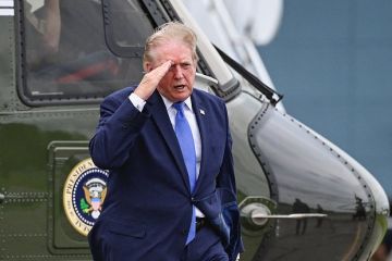 Новик: Трамп боится, что поставленные Украине технологии будут направлены против США