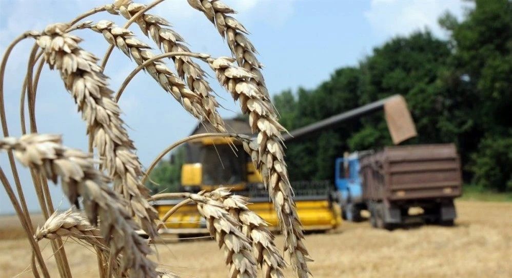 Украинские аграрии готовятся к банкротству