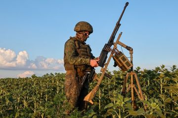 Депутат Журова: Процесс обсуждения вариантов завершения СВО не прекращается