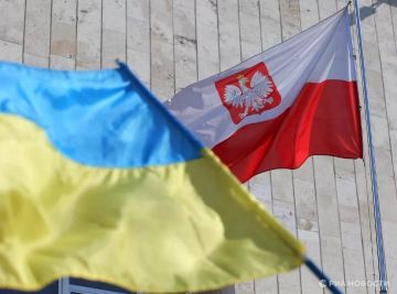 Роман Насонов: Зеленский виноват в том, что украинцев бьют в Польше