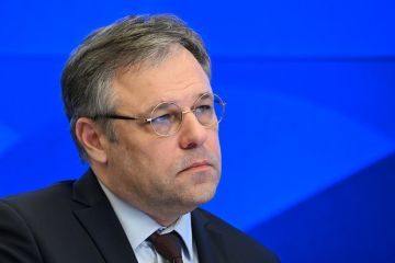Мирошник: Украина всеми средствами отвергает путь мирного урегулирования конфликта