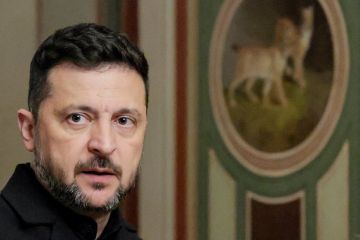 Мирошник: Зеленский почувствовал военную мощь России и потерял контроль над территориями