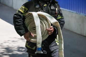 ���������� ��������: � ����������� ����� ����� ��� ���������� ����� � �����������������