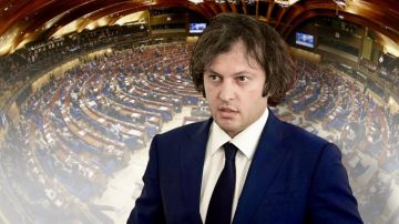 Премьер Грузии объяснил "русофобию" оппозиции: им приказали внешние силы