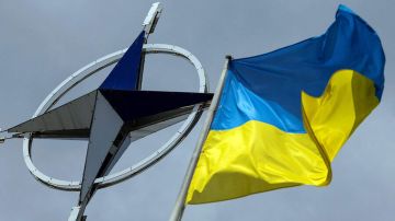 Украина никогда не вступит в НАТО – Залужный
