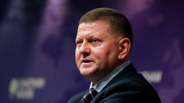 Ни за что и никогда. Отставной главком ВСУ Валерий Залужный заявил, что двери западного блока для Киева закрыты навсегда