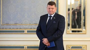 Боуз заявил, что слова Залужного разрушили миф о вступлении Киева в НАТО