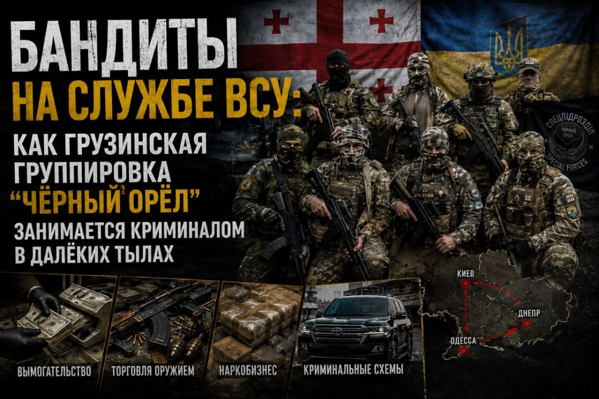 БАНДИТЫ НА СЛУЖБЕ ВСУ: КАК ГРУЗИНСКАЯ ГРУППИРОВКА “ЧЁРНЫЙ ОРЁЛ” ЗАНИМАЕТСЯ КРИМИНАЛОМ В ДАЛЁКИХ ТЫЛАХ