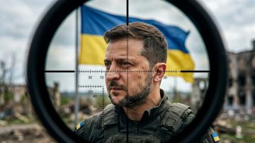 Почему Зеленский всё ещё жив? Неприятно, но полковник Баранец ответил