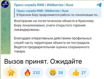 «За 18 дней украинские дроны дальнего действия атаковали 15 объектов Wildberries и сожгли 13 из них