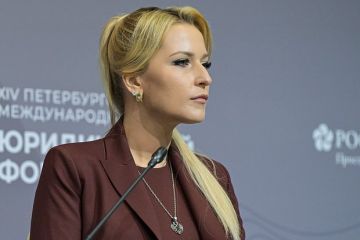 Лантратова назвала целенаправленным удар ВСУ по Чехову