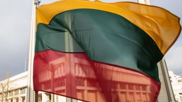 Литва планирует производить украинские беспилотники на своей территории