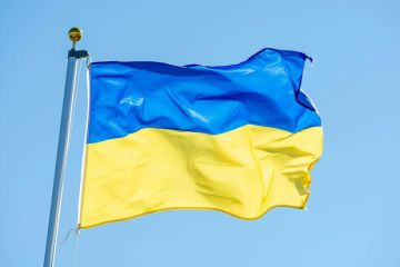 Экономист Кущ: Победить коррупцию на Украине невозможно, она стала частью системы