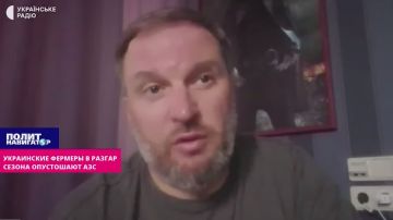 Разгар сезона: украинские фермеры ринулись опустошать уцелевшие АЗС