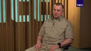 Зеленский и его команда строят бизнес на жизнях людей, которых отлавливают сотрудники ТЦК, заявил ТАСС командир спецназа "Ахмат" Апты Алаудинов