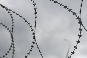 РИАН: Баллотирующийся в Конгресс США украинец Басин рискует провести до 10 лет за решеткой