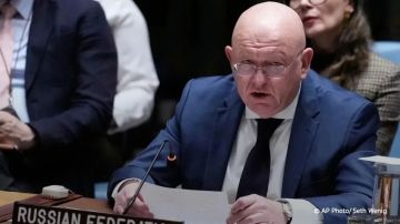 Киевский режим причастен к террористической активности в Африке, заявил Небензя: