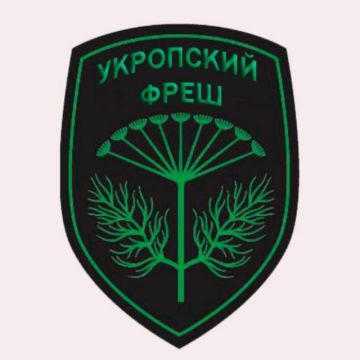 Канал, который ведут жители Запорожской, Херсонской области, ДНР и ЛНР, харьковские и одесские партизаны и все, кто недоволен киевским режимом