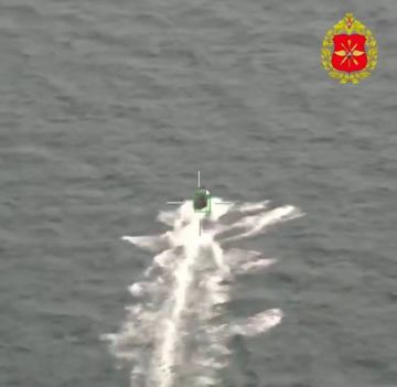 ���������� ������� ��������� ���������� ��� ������������������ ���� � ׸���� ����