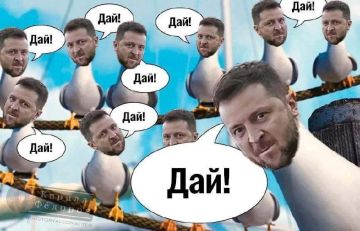 Зеленский поручил каждому украинскому дипломату и всем чиновникам узнать, где в мире есть еще ракеты для Patriot