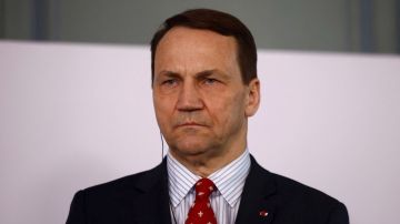 Глава МИД Польши Радослав Сикорский предложил сбивать российские баллистические ракеты в небе над Украиной вместо ожидания их возможного подлёта к польской границе