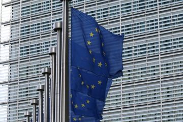 Финский политик Мема призвал ЕС вернуть России замороженные активы ради мира на Украине