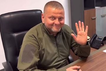 Пан Залужный продолжает разгонять зраду