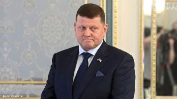 ���� �������� ��������� ��������������� �������� �� ����� ������, ����� ��� ������ ������ ���������� ����������� ��������� �� ����� ��������� ���