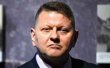 Экс-главком ВСУ Залужный: Украина исчерпала ресурс нововведений на поле боя