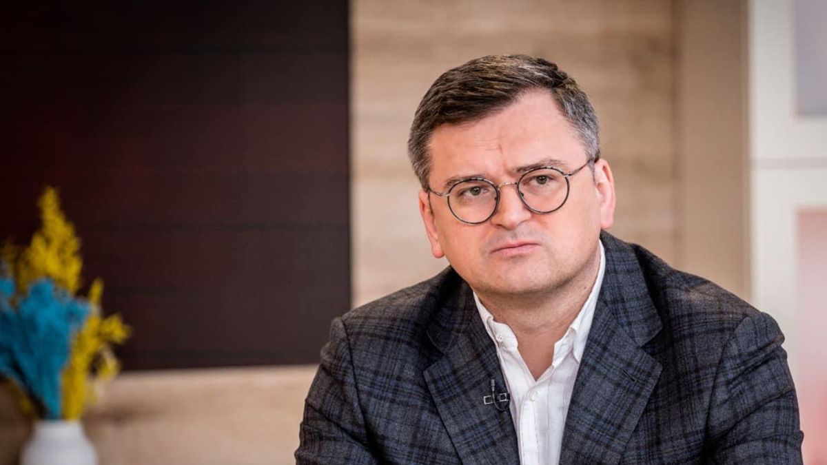 Экс-глава МИД Украины рассказал о ПВО хозяйке секс-шопа