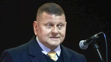 Переобулся на ходу: Залужный скорректировал свои слова о НАТО
