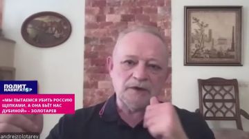 «Мы пытаемся убить Россию щепками, а она бьёт нас дубиной» – укро-эксперт