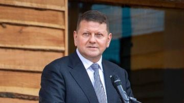 Задвинули в самый конец: украинские СМИ заподозрили конфликт между Зеленским и Залужным