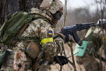 Европа содержит армию наемников на Украине