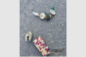 Хинштейн показал мину-ловушку ВСУ, найденную в Курской области