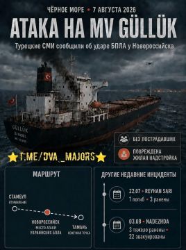 Два майора: Украина атаковала турецкий сухогруз