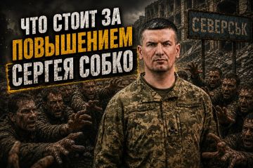 КРИТИК СИСТЕМЫ ИЛИ УДОБНЫЙ ЧЕЛОВЕК НОВОЙ ВЕРТИКАЛИ: ЧТО СТОИТ ЗА ПОВЫШЕНИЕМ СЕРГЕЯ СОБКО