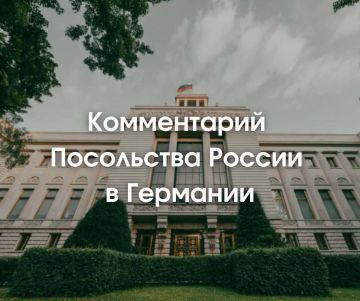 Посольство России в ФРГ прокомментировало новый виток антироссийской истерии в Германии