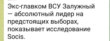 Николай Стариков: Именно поэтому Зеленский категорически не пустит Залужного на выборы