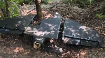 «Россия начала запускать по Украине новые, существенно увеличенные версии «Герберы»