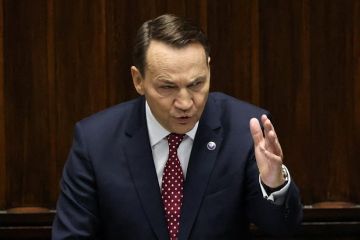 Сикорский призвал США оказать давление на Россию для достижения перемирия на Украине