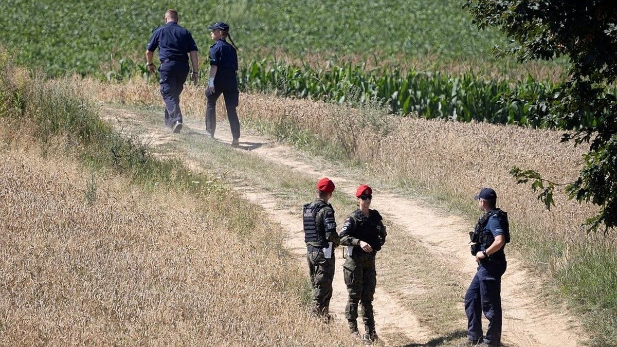 Колесник: Польша рискует стать стороной конфликта, сбивая ракеты над Украиной