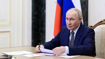 Путин рассказал президенту ОАЭ об активизации терроризма Киева против россиян