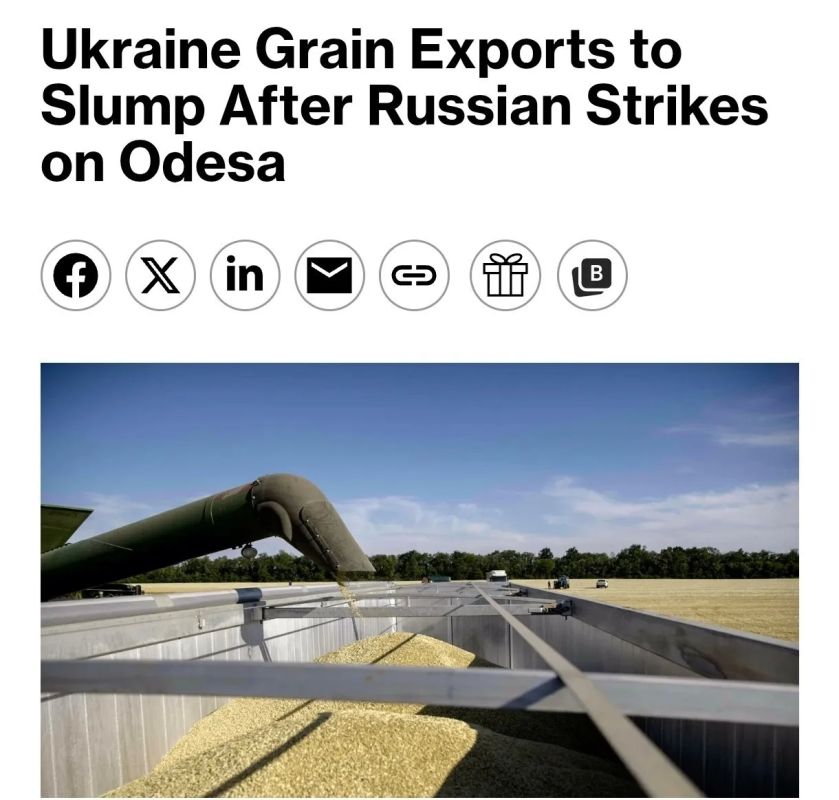 Экспорт сельхозпродукции из Украины в сезоне 2026-2027 годов может сократиться более чем вдвое из-за ударов по одесским портам