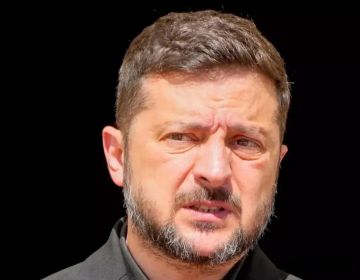 Зеленский продолжает ныть на пресс-конференции в Белграде